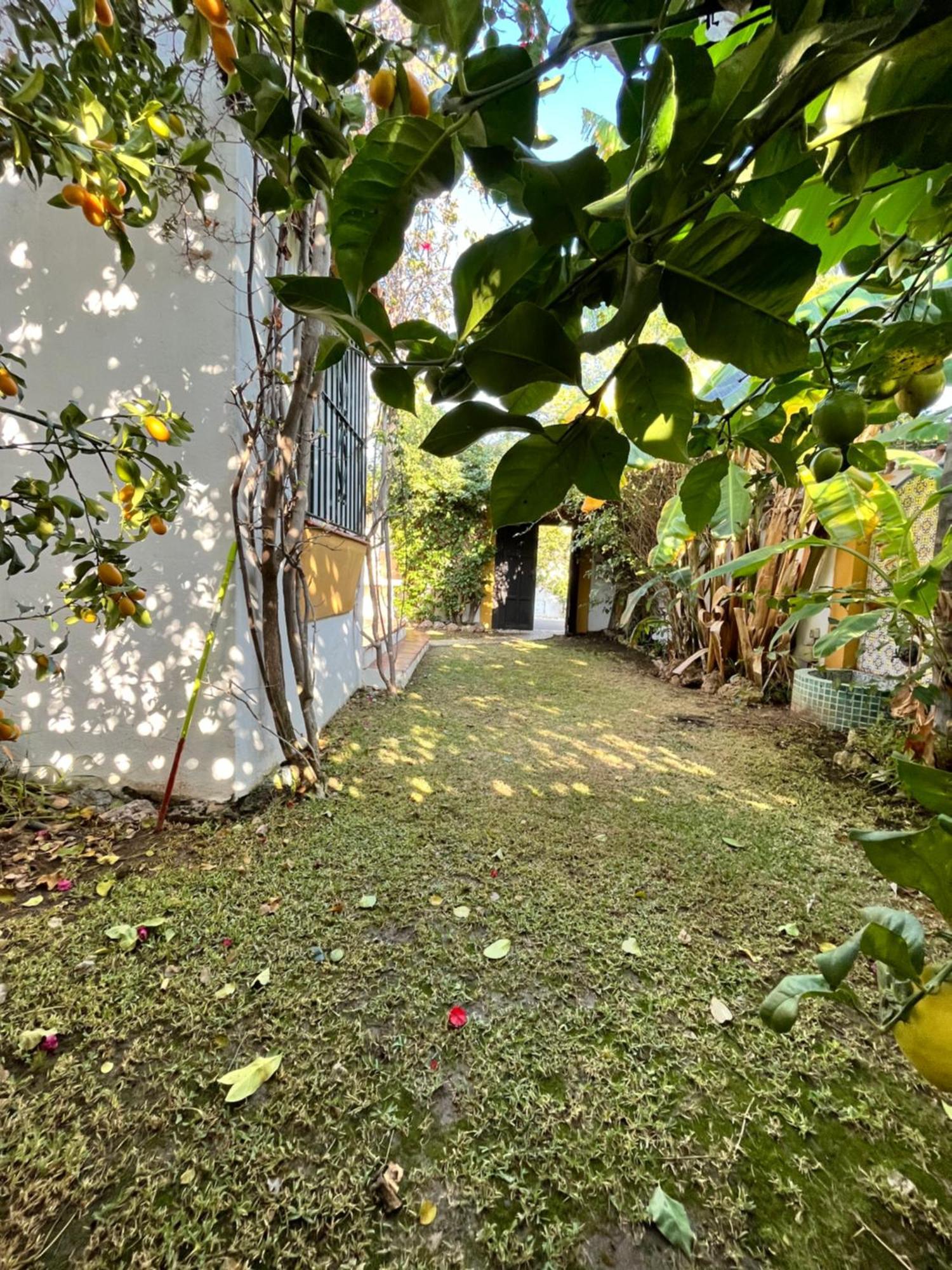 Gmc Turistics - Casa Mina Villa Marbella Exteriör bild
